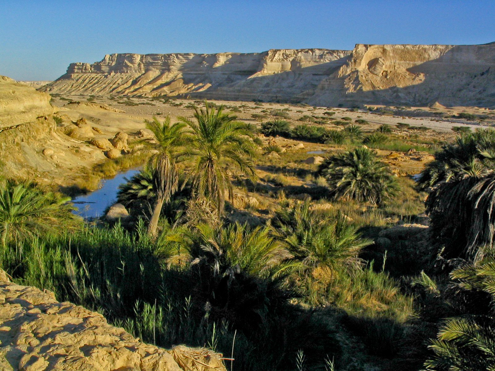 Oman landscape